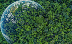 climate-transition-plan-290x180